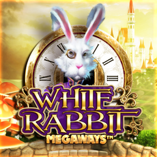 White Rabbit slot at Puntit Casino