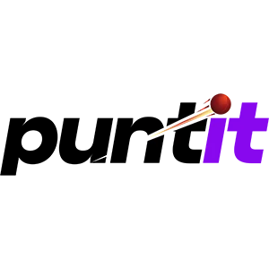 Puntit Casino logo